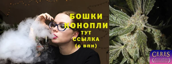 гидра Заводоуковск