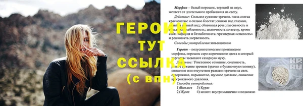 гидра Заводоуковск