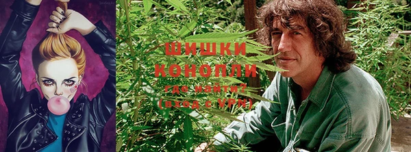 a pvp Заволжье