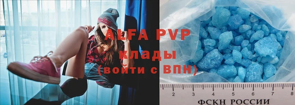 гидра Заводоуковск
