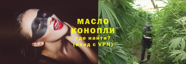 гидра Заводоуковск